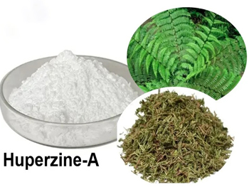 What Does Huperzine Do For The Body?